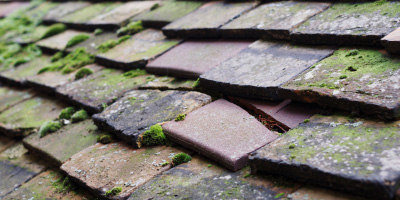 Rhoscolyn roof repair costs